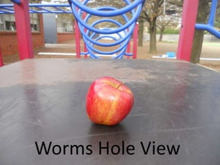 Worms Hole View
 