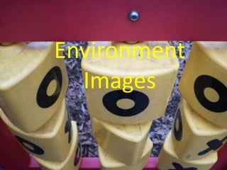 Environment
  Images
 