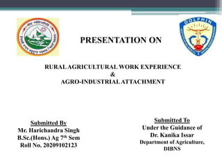 RURALAGRICULTURAL WORK EXPERIENCE
&
AGRO-INDUSTRIALATTACHMENT
Submitted By
Mr. Harichandra Singh
B.Sc.(Hons.) Ag 7th Sem
Roll No. 20209102123
Submitted To
Under the Guidance of
Dr. Kanika Issar
Department of Agriculture,
DIBNS
PRESENTATION ON
 