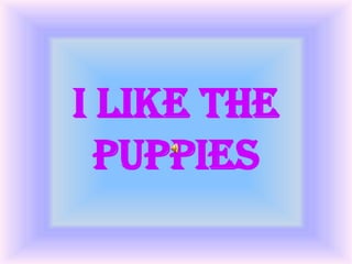 Presentation Of Sandra