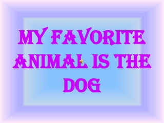 Presentation Of Sandra