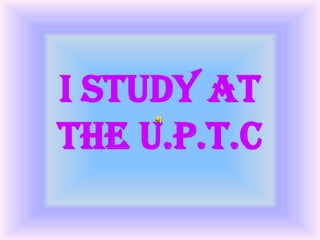 Presentation Of Sandra