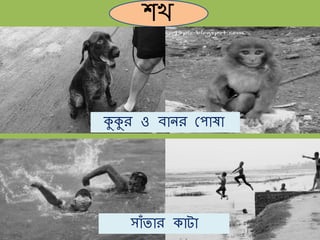 শে
কুকুর ও ব নর ম ষ
স াঁত র ক ট
 
