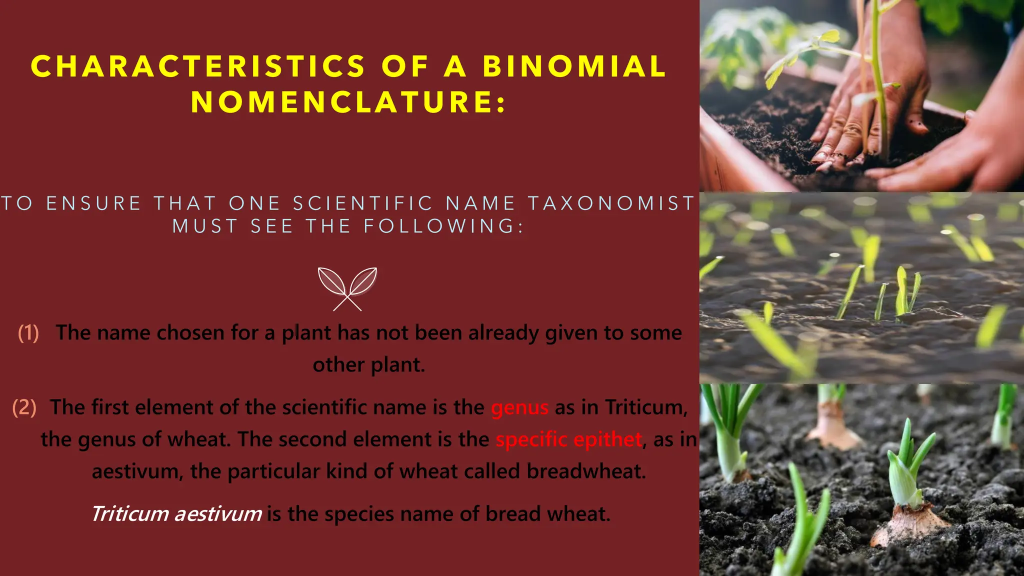 Presentation of botanical nomenclature [Autosaved]-1.pdf