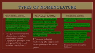 TYPES OF NOMENCLATURE
POLYNOMIAL SYSTEM
• In polynomial system, a generic
name and specific name which
consisted of many words were
used. It was eventually found to
be incompatible and hence, was
replaced by binomial system.
• For e.g., Caryophyllum saxatilis
folis gramineus umbellatus
corymbia which means
Caryophyllum growing on rocks,
having grass like leaves and
umbellate corymb flowers.
BINOMIAL SYSTEM
In binomial nomenclature,
each scientific name has 2
components - generic name
(genus) and specific name
(species). E.g., Solanum
tuberosum (potato), Mangifera
indica (mango) .
The name indicates
relationship of a species with
others present in the same
genus.
TRINOMIAL SYSTEM
• This system was proposed by Huxley
and Stricklandt.
• According to this system, name of
any plant or species is composed of
three names.
• When members of any species have
large variations then trinomial
system is used. On the basis of
Generic name Specific name
dissimilarities, this species is
classified into sub-species.
• Brassica oleracea var. capitata
(Cabbage)
 