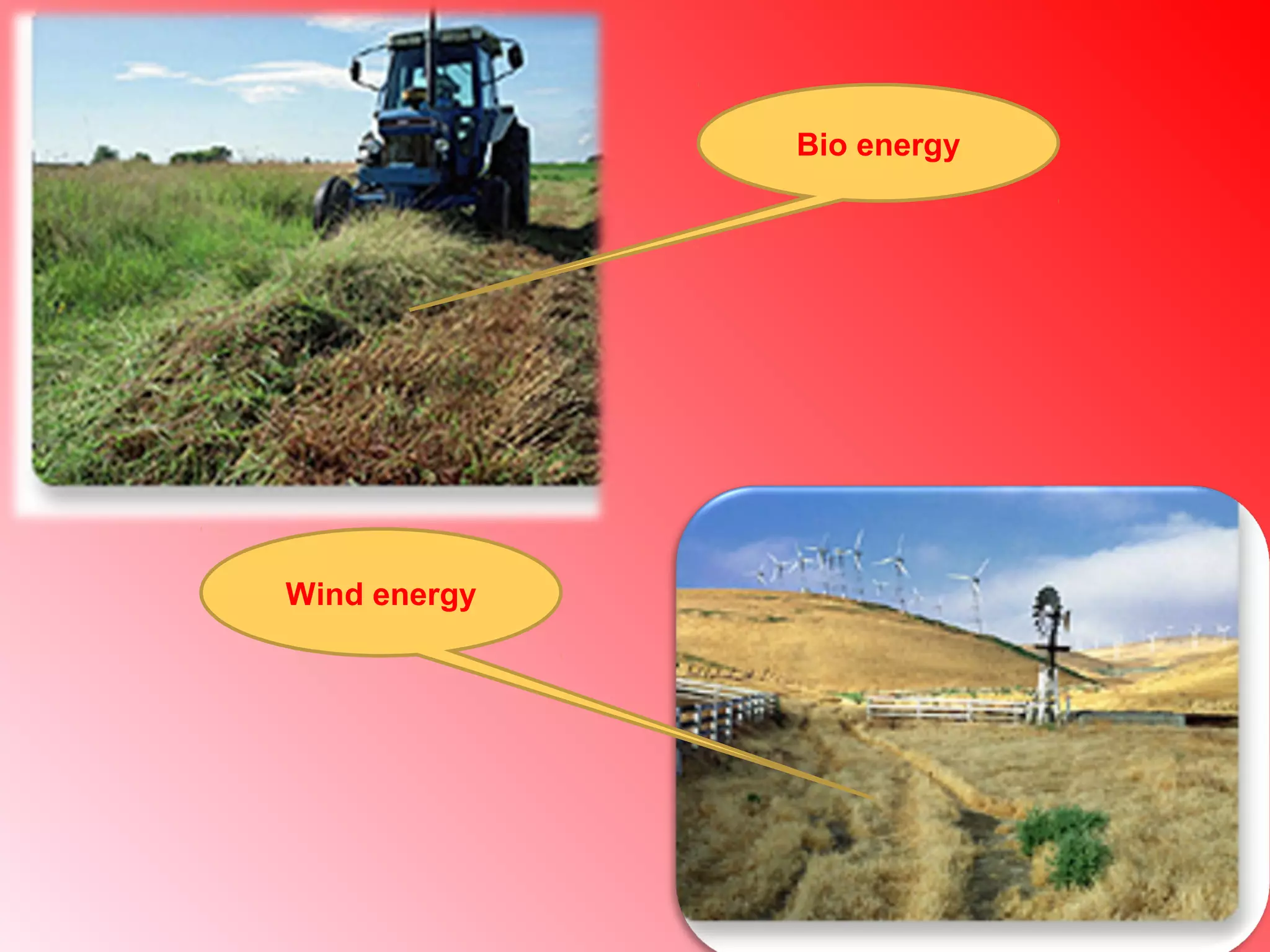 Bio energy
Wind energy
 