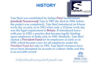 Facts about Tata Steel