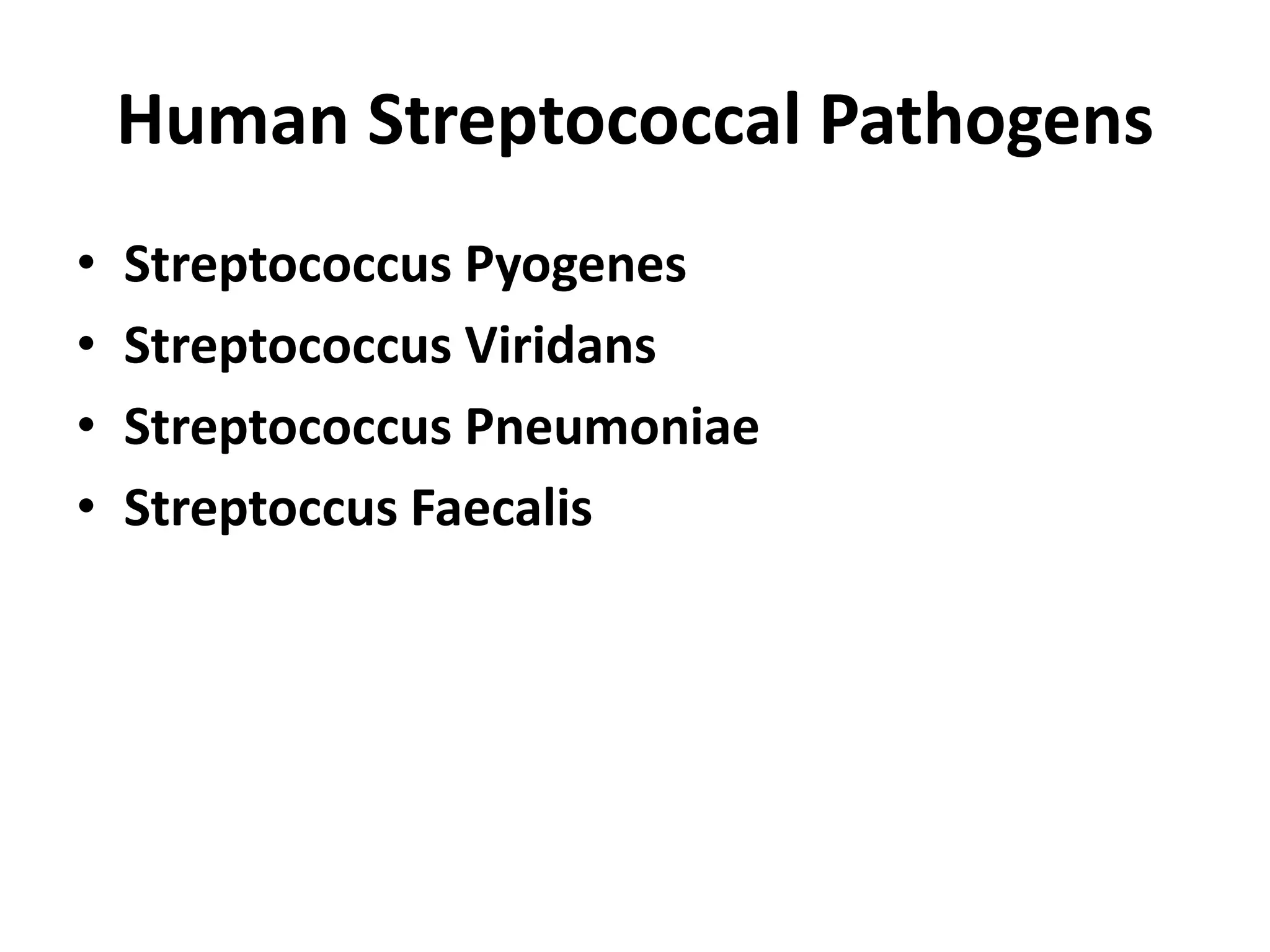 Human Streptococcal Pathogens
• Streptococcus Pyogenes
• Streptococcus Viridans
• Streptococcus Pneumoniae
• Streptoccus Faecalis
 