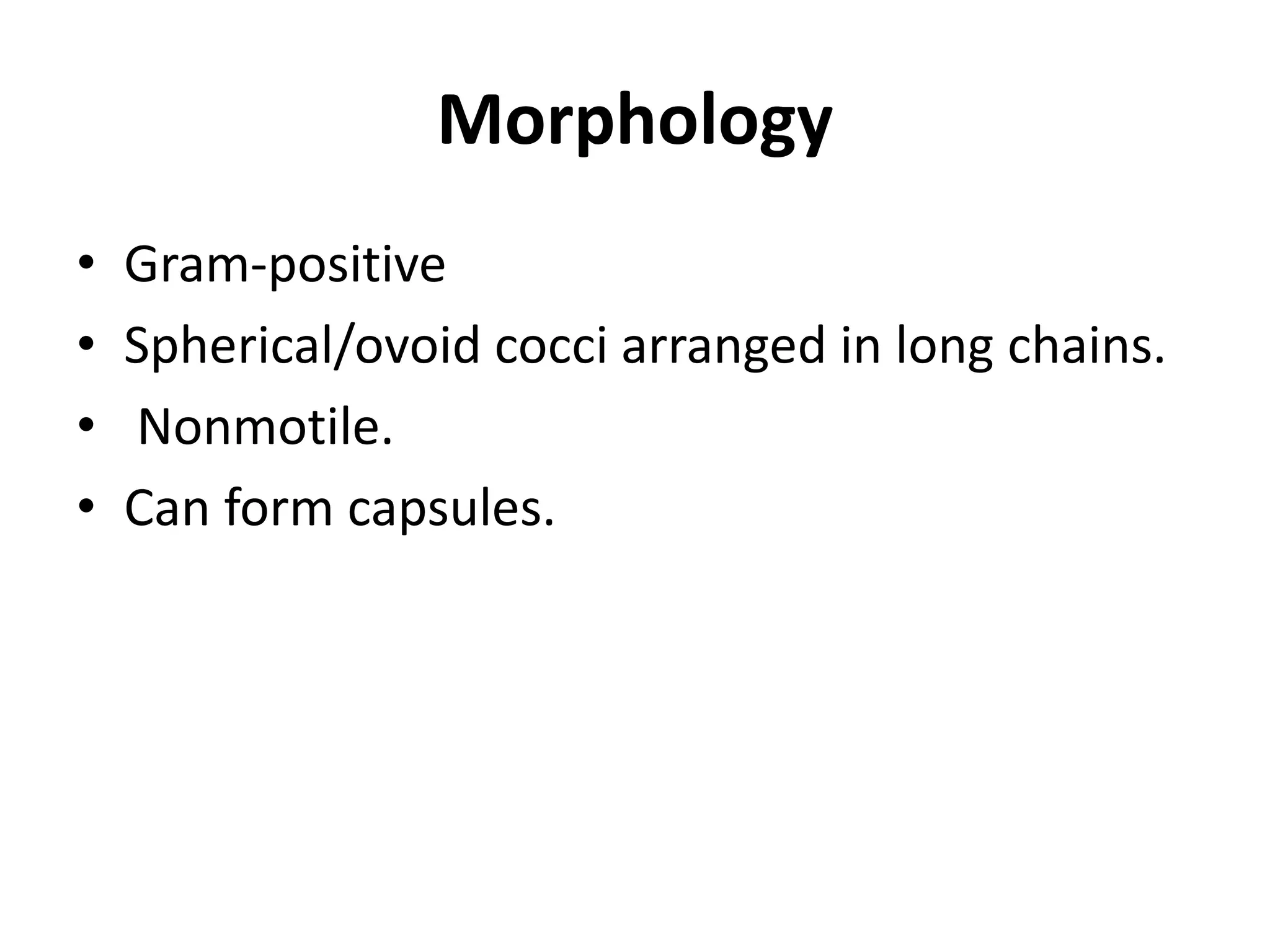 Morphology
• Gram-positive
• Spherical/ovoid cocci arranged in long chains.
• Nonmotile.
• Can form capsules.
 