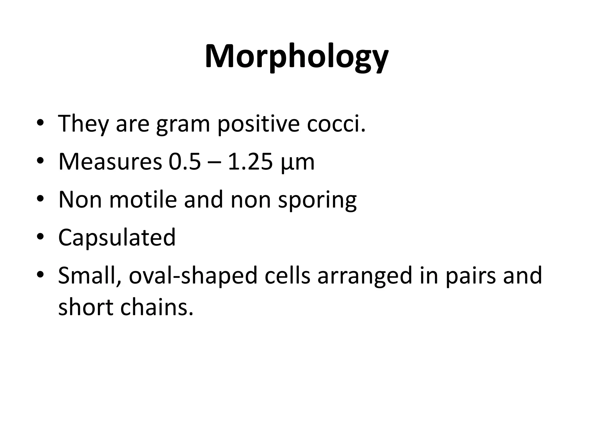 Morphology
• They are gram positive cocci.
• Measures 0.5 – 1.25 μm
• Non motile and non sporing
• Capsulated
• Small, oval-shaped cells arranged in pairs and
short chains.
 