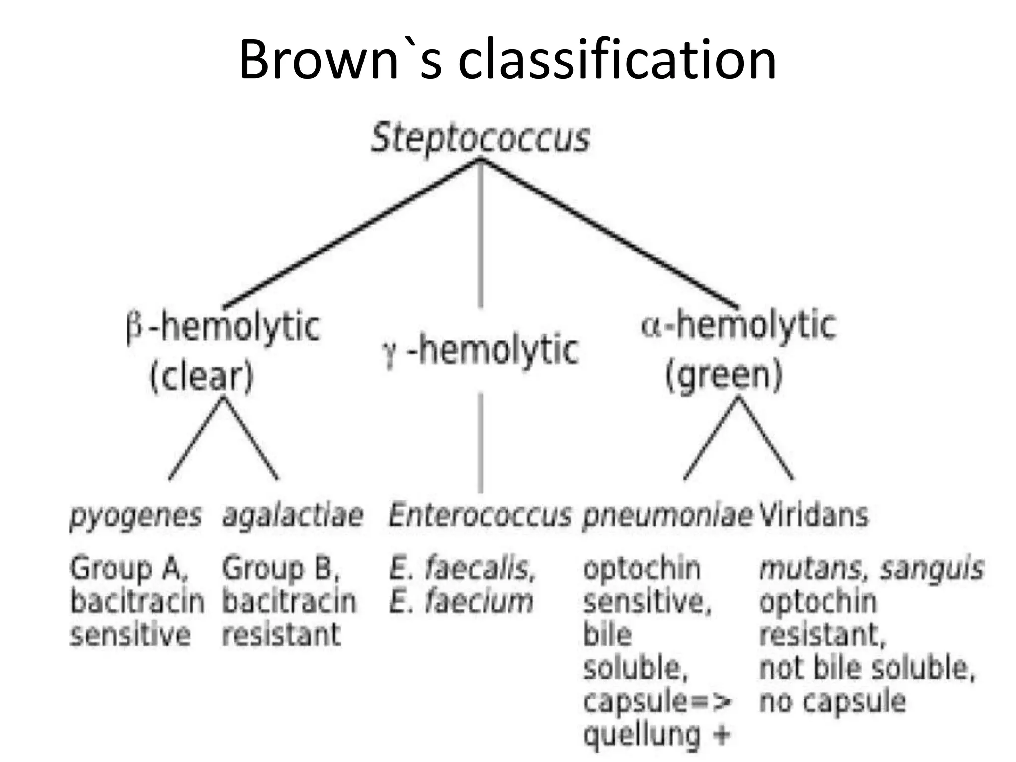 Brown`s classification
 