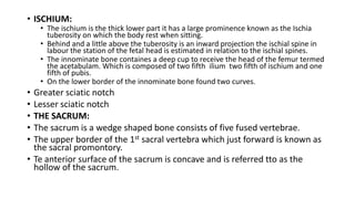Comprehensive Overview of Pelvic Anatomy and Types for Childbirth | PDF