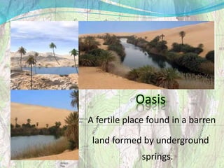 Oasis
A fertile place found in a barren
land formed by underground
springs.
 