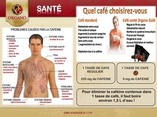 Pour éliminer la caféine contenue dans
1 tasse de café, il faut boire
environ 1,5 L d’eau !
1 TASSE DE CAFE
9 mg de CAFEINE
1 TASSE DE CAFE
REGULIER
250 mg de CAFEINE
 