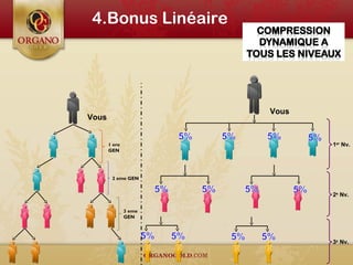 Vous
4.Bonus Linéaire
1er
Nv.
2e
Nv.
3e
Nv.
Vous
1 ere
GEN
2 eme GEN
3 eme
GEN
 