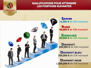 14,000 €14,000 € de CA mensuel
40,000 €40,000 € de CA mensuel
80,000 €80,000 € de CA mensuel
200,000 €200,000 € de CA mensuel
SSAPHIRAPHIR
RRUBISUBIS
DDIAMANTIAMANT
EEMERAUDEMERAUDE
DDIAMANT BLEUIAMANT BLEU
500,000 €500,000 € de CA mensuel
DDIAMANT NOIRIAMANT NOIR
1,000,000 €1,000,000 € de CA mensuel
 