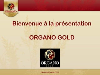 Bienvenue à la présentation
ORGANO GOLD
 