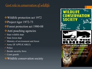 Presentation on nature and wildlife conservation | PPTX