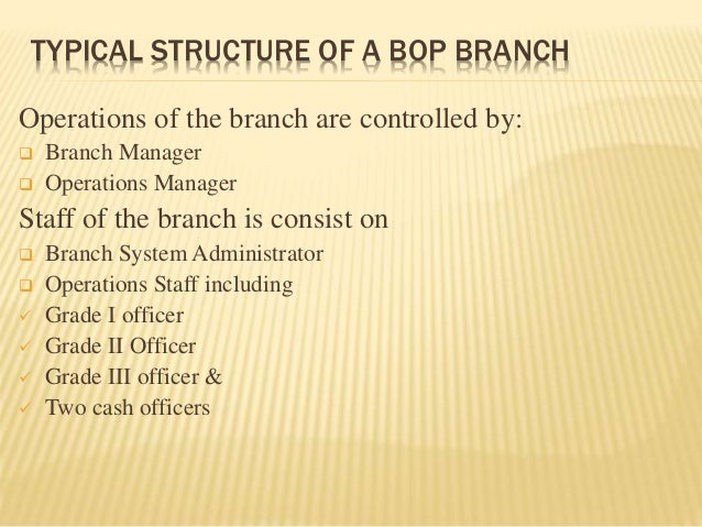 Presentation On The Bank Of Punjab