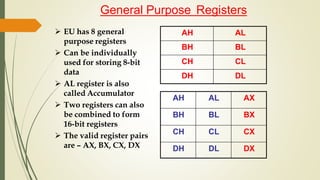  EU has 8 general
purpose registers
 Can be individually
used for storing 8-bit
data
 AL register is also
called Accumulator
 Two registers can also
be combined to form
16-bit registers
 The valid register pairs
are – AX, BX, CX, DX
AH AL
BH BL
CH CL
DH DL
AH AL AX
BH BL BX
CH CL CX
DH DL DX
General Purpose Registers
 