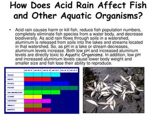 Acid Rain | PDF