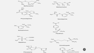 29
NH2
O
N
+
CH3
C
H3
CH3
O
CH3
Bethanechol
N
+
O
CH3
O
CH3
C
H3
CH3
C
H3
Methacholine
N
N
CH3
CH3
C
H3
O
O
NH
CH3
Physostigmine
N
+
CH3
C
H3
CH3
O
N
CH3
C
H3
O
Neostigmine
O
H N
+
CH3
C
H3 C2H5
Edrophonium
N
+ O
–
O
O
P
S
H5C2O
OC2H5
Parathion
O
C
H3
P
S
S
+
COOEt
COOEt
O
C
H3
Malathion
N
+
C
H3
CH3
C
H3
S
P
O
OC2H5
OC2H5
Echothiopate
O
C
H3
H
O
N
N
CH3
H
Pilocarpine
N
+ N
CH3
CH3
Cl
–
Pralidoxime chloride
 