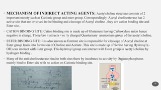 • MECHANISM OF INDIRECT ACTING AGENTS: Acetylcholine structure consists of 2
important moiety such as Cationic group and ester group. Correspondingly Acetyl cholinesterase has 2
active site that are involved in the binding and cleavage of Acetyl choline , they are cation binding site and
Ester site..
• CATION BINDING SITE: Cation binding site is made up of Glutamate having Carboxylate anion hence
negative in charge. Therefore it attracts +ve ly charged Quartarnary ammonium group of the acetyl choline.
• ESTER BINDING SITE: It is also known as Esterate site is responsible for cleavage of Acetyl choline at
Ester group leads into formation of Choline and Acetate .This site is made up of Serine having Hydroxyl (-
OH) can interact with Ester group. This hydroxyl group can interact with Ester group in Acetyl choline by
hydrogen binding .
• Many of the anti-cholinesterase bind to both sites there by incubates its activity by Organo phosphates
mainly bind to Ester site with no action on Cationic binding site.
30
 