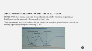 • MECHANISM OFACTION OF CHOLINESTESE REACTIVATOR:
• PRALIDOXIME is mainly used here. It is used as an antidote for poisoning by pesticides.
Pralidoxime used at a dose of 1-2 mg over less than 5 min.
• These compounds bind to the anionic site and remove the phosphate group from the esteratic site
thereby dephosphorylating and activating ACHE.
31
 