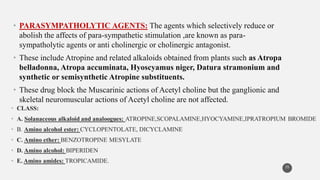 • PARASYMPATHOLYTIC AGENTS: The agents which selectively reduce or
abolish the affects of para-sympathetic stimulation ,are known as para-
sympatholytic agents or anti cholinergic or cholinergic antagonist.
• These include Atropine and related alkaloids obtained from plants such as Atropa
belladonna, Atropa accuminata, Hyoscyamus niger, Datura stramonium and
synthetic or semisynthetic Atropine substituents.
• These drug block the Muscarinic actions of Acetyl choline but the ganglionic and
skeletal neuromuscular actions of Acetyl choline are not affected.
35
 