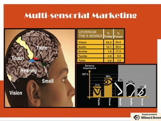 Multi-sensorial Marketing
 