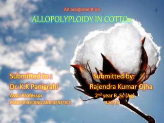 An assignment on
ALLOPOLYPLOIDY IN COTTOn
Submitted to : Submitted by:
Dr. K.K Panigrahi Rajendra Kumar Ojha
Asst. Professor 2nd year B. Sc (Ag)
PLANT BREEDING AND GENETICS 42C/15
 