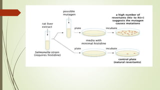 Presentation on ames test | PPTX