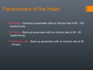 Presentation on anatomy of heart ,coronary circulation ,mi and ecg ...