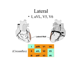 Presentation on anatomy of heart ,coronary circulation ,mi and ecg ...