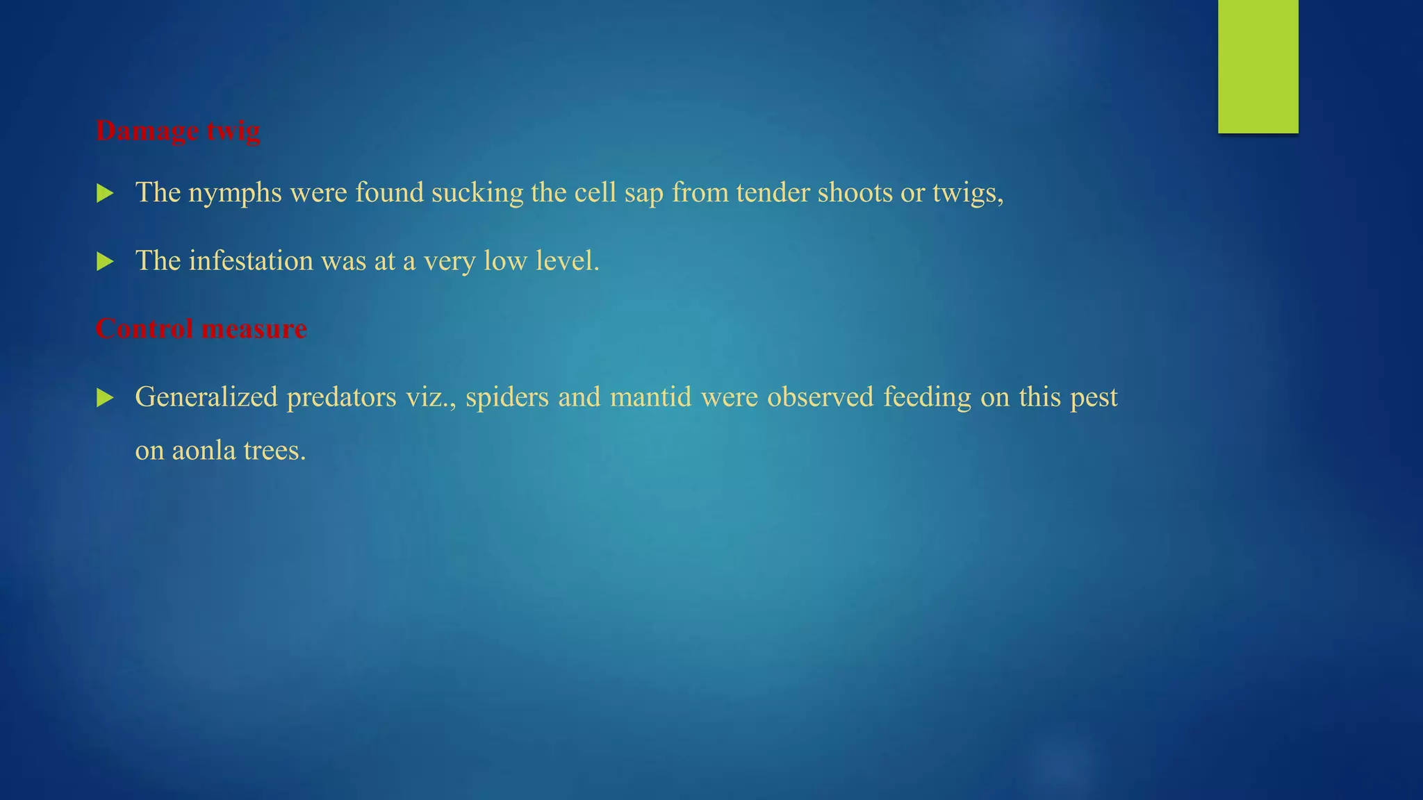 Damage twig
 The nymphs were found sucking the cell sap from tender shoots or twigs,
 The infestation was at a very low level.
Control measure
 Generalized predators viz., spiders and mantid were observed feeding on this pest
on aonla trees.
 