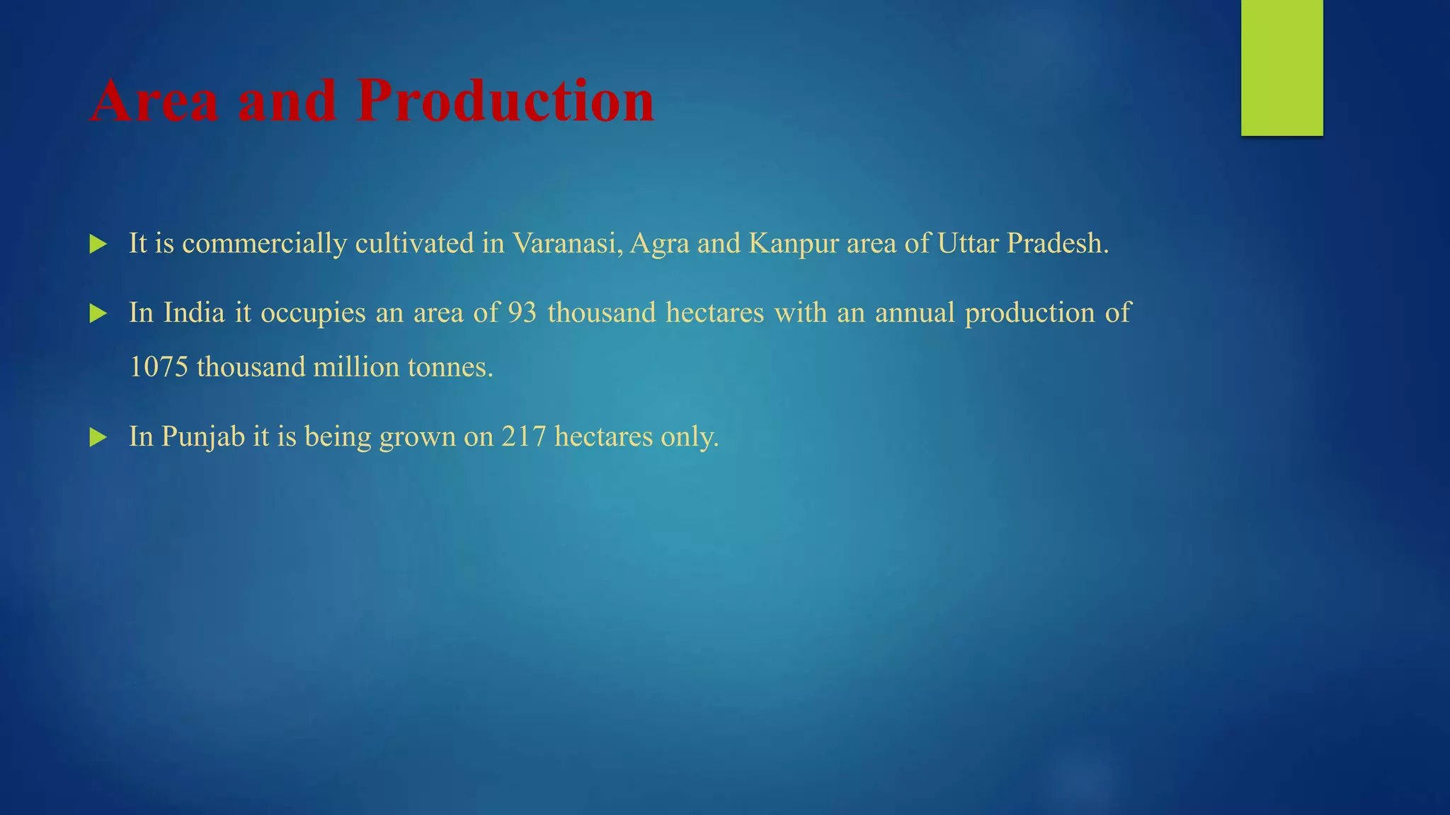 Area and Production
 It is commercially cultivated in Varanasi, Agra and Kanpur area of Uttar Pradesh.
 In India it occupies an area of 93 thousand hectares with an annual production of
1075 thousand million tonnes.
 In Punjab it is being grown on 217 hectares only.
 