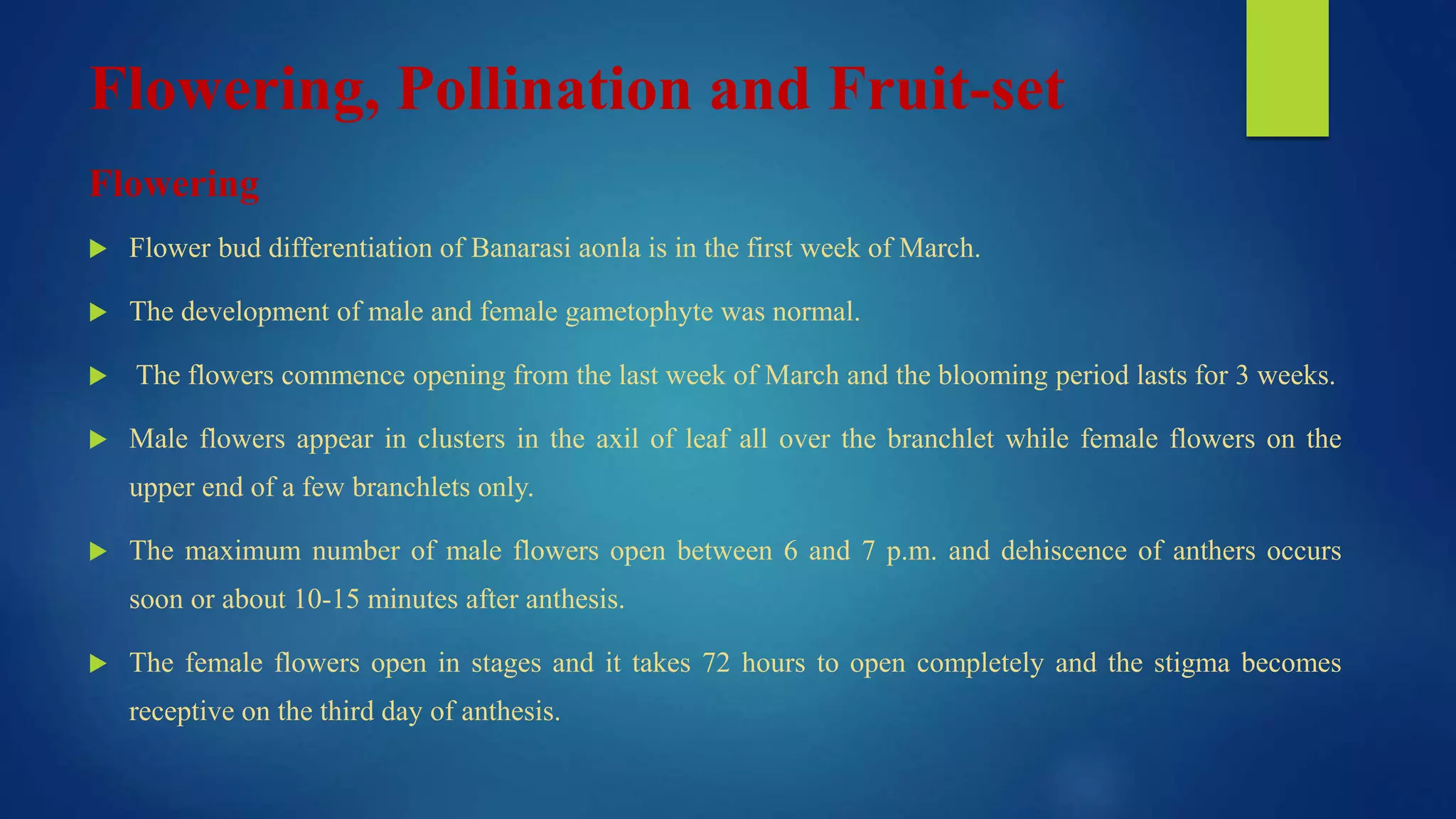 Flowering, Pollination and Fruit-set
Flowering
 Flower bud differentiation of Banarasi aonla is in the first week of March.
 The development of male and female gametophyte was normal.
 The flowers commence opening from the last week of March and the blooming period lasts for 3 weeks.
 Male flowers appear in clusters in the axil of leaf all over the branchlet while female flowers on the
upper end of a few branchlets only.
 The maximum number of male flowers open between 6 and 7 p.m. and dehiscence of anthers occurs
soon or about 10-15 minutes after anthesis.
 The female flowers open in stages and it takes 72 hours to open completely and the stigma becomes
receptive on the third day of anthesis.
 