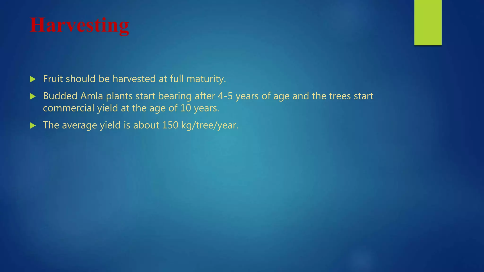 Harvesting
 Fruit should be harvested at full maturity.
 Budded Amla plants start bearing after 4-5 years of age and the trees start
commercial yield at the age of 10 years.
 The average yield is about 150 kg/tree/year.
 