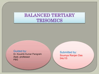 BALANCED TERTIARY
TRISOMICS
Guided by:
Dr. Koushik Kumar Panigrahi
Asst. professor
PBG
Submitted by:
Soumya Ranjan Das
54c/15
 