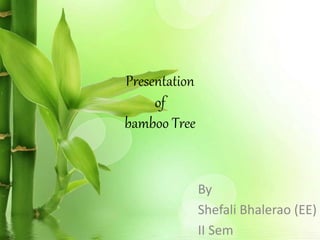 Presentation
of
bamboo Tree
By
Shefali Bhalerao (EE)
II Sem
 