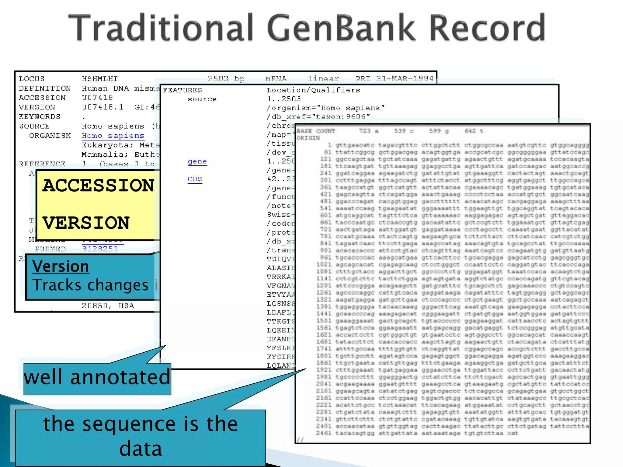 ACCESSION U07418
VERSION U07418.1 GI:466461
Accession
•Stable
•Reportable
•Universal
Version
Tracks changes in sequence
GI number
NCBI internal use
well annotated
the sequence is the
data
 