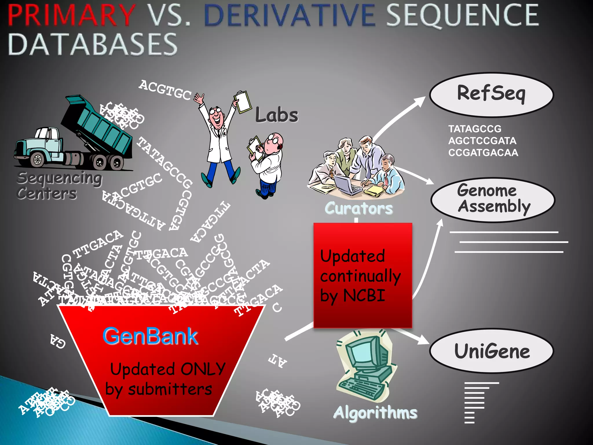 GenBank
Sequencing
Centers
TATAGCCG TATAGCCGTATAGCCG TATAGCCG
Labs
Algorithms
UniGene
Curators
RefSeq
Genome
Assembly
TATAGCCG
AGCTCCGATA
CCGATGACAA
Updated
continually
by NCBI
Updated ONLY
by submitters
 