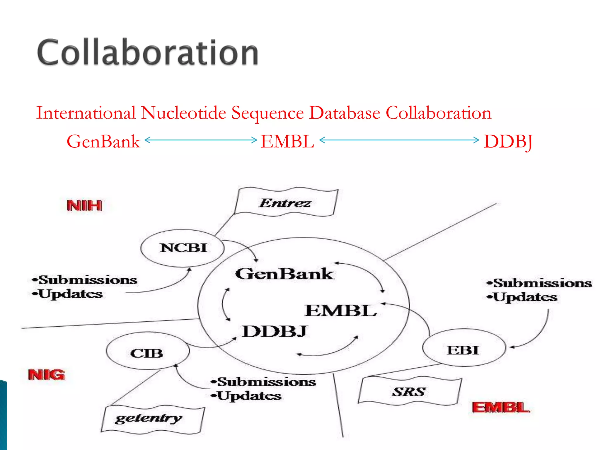 International Nucleotide Sequence Database Collaboration
GenBank EMBL DDBJ
 