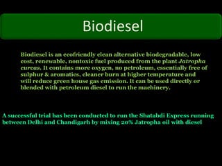 A successful trial has been conducted to run the Shatabdi Express running
between Delhi and Chandigarh by mixing 20% Jatropha oil with diesel.
Biodiesel
Biodiesel is an ecofriendly clean alternative biodegradable, low
cost, renewable, nontoxic fuel produced from the plant Jatropha
curcas. It contains more oxygen, no petroleum, essentially free of
sulphur & aromatics, cleaner burn at higher temperature and
will reduce green house gas emission. It can be used directly or
blended with petroleum diesel to run the machinery.
 