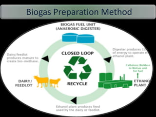 Biogas Preparation Method
 