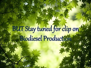 BUT Stay tuned for clip on
Biodiesel Production
 
