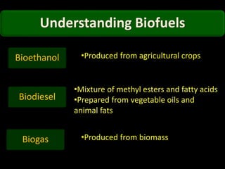 Understanding Biofuels
Biodiesel
•Mixture of methyl esters and fatty acids
•Prepared from vegetable oils and
animal fats
Biogas
Bioethanol •Produced from agricultural crops
•Produced from biomass
 