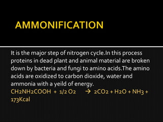Presentation on biogeochemical cycles 2