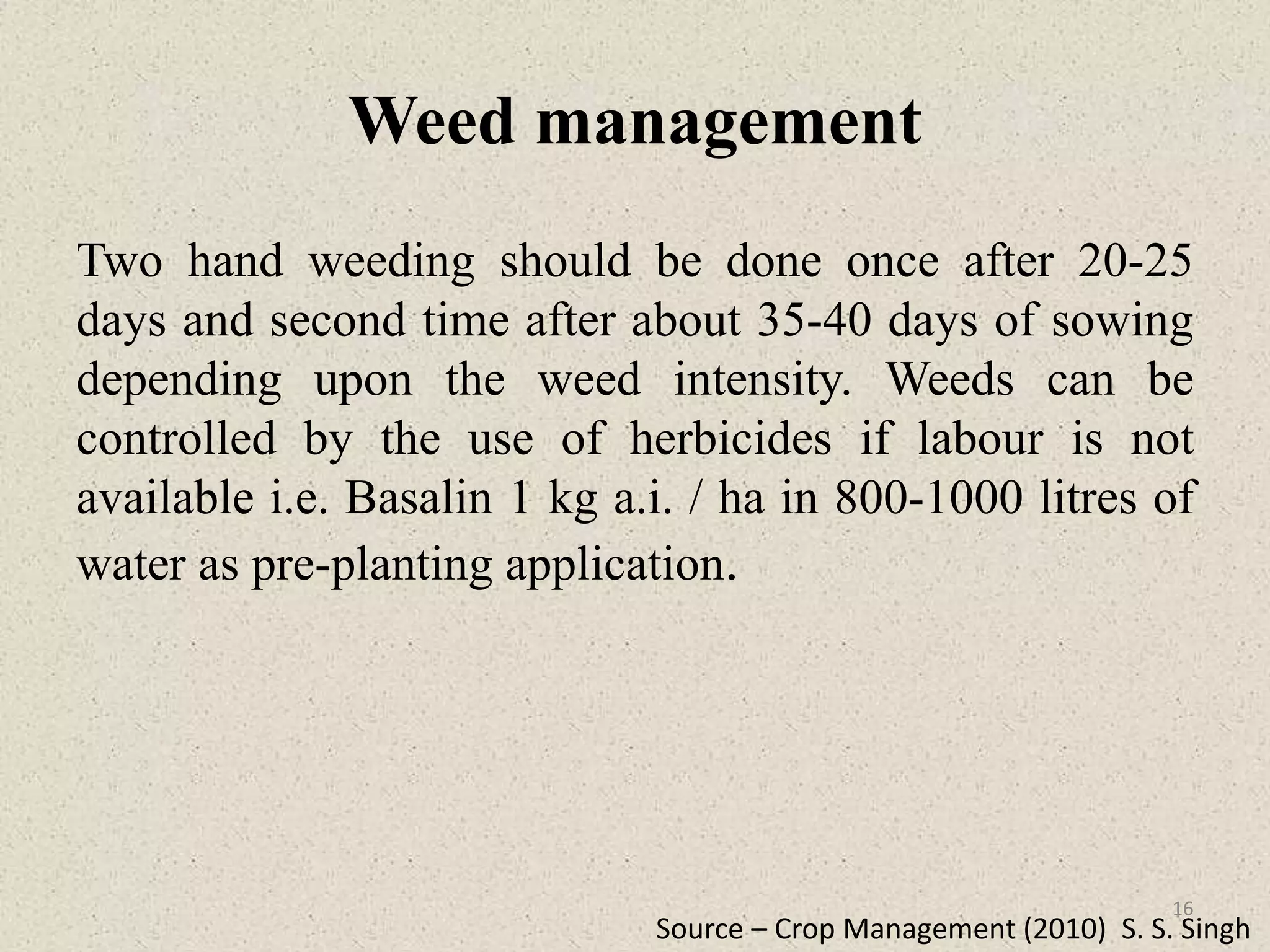 Weed management
Two hand weeding should be done once after 20-25
days and second time after about 35-40 days of sowing
depending upon the weed intensity. Weeds can be
controlled by the use of herbicides if labour is not
available i.e. Basalin 1 kg a.i. / ha in 800-1000 litres of
water as pre-planting application.
Source – Crop Management (2010) S. S. Singh
16
 