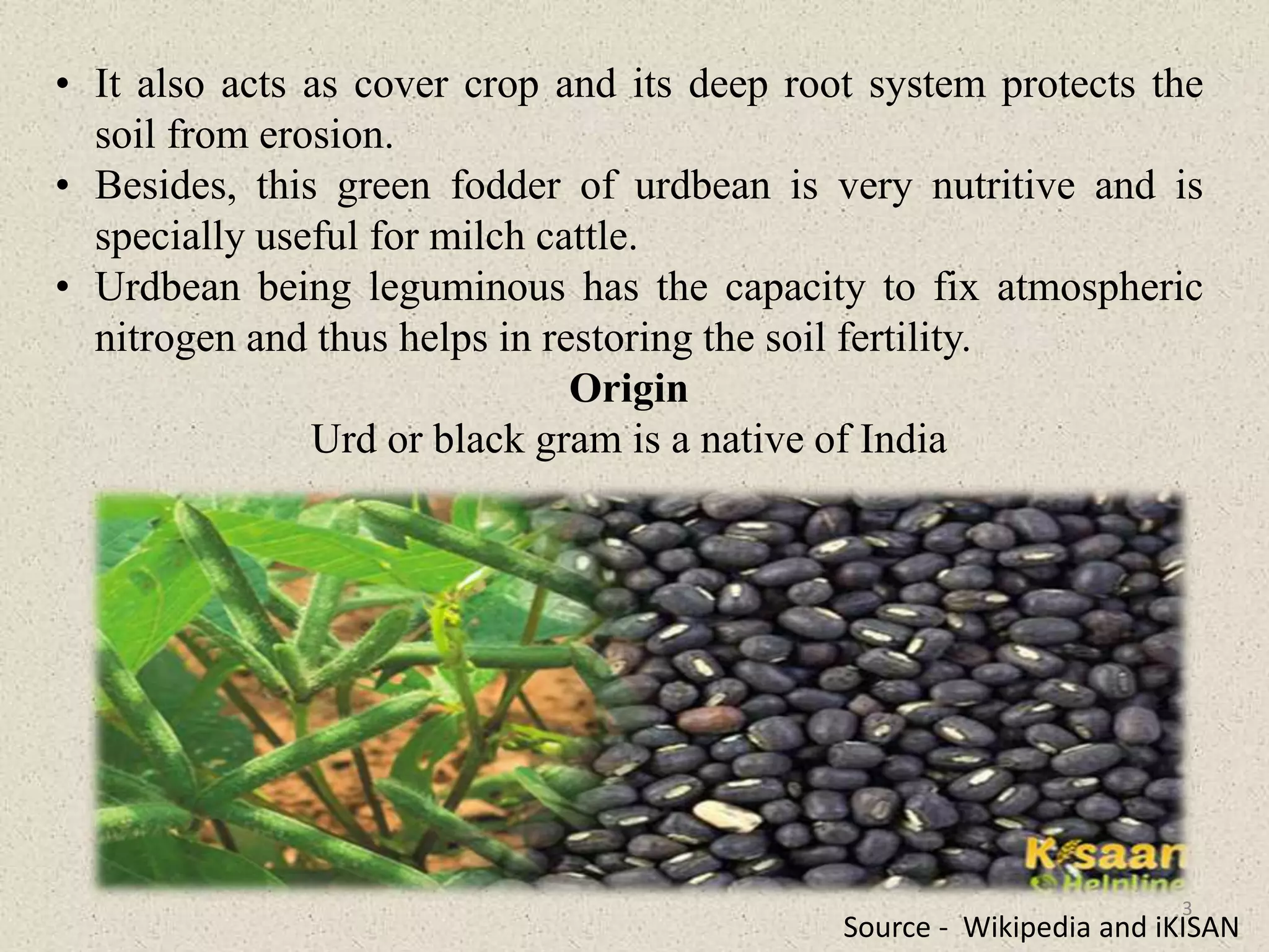 • It also acts as cover crop and its deep root system protects the
soil from erosion.
• Besides, this green fodder of urdbean is very nutritive and is
specially useful for milch cattle.
• Urdbean being leguminous has the capacity to fix atmospheric
nitrogen and thus helps in restoring the soil fertility.
Origin
Urd or black gram is a native of India
Source - Wikipedia and iKISAN
3
 